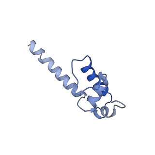 7349_6c6s_K_v1-4
CryoEM structure of E.coli RNA polymerase elongation complex bound with RfaH