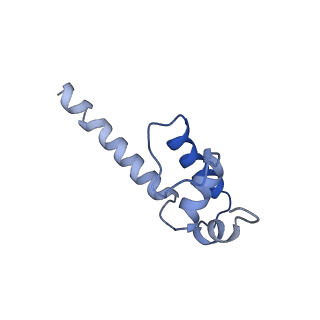 7349_6c6s_K_v1-5
CryoEM structure of E.coli RNA polymerase elongation complex bound with RfaH