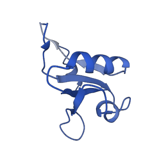 7350_6c6t_D_v1-5
CryoEM structure of E.coli RNA polymerase elongation complex bound with RfaH