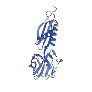 7350_6c6t_H_v1-4
CryoEM structure of E.coli RNA polymerase elongation complex bound with RfaH