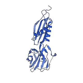 7350_6c6t_H_v1-5
CryoEM structure of E.coli RNA polymerase elongation complex bound with RfaH