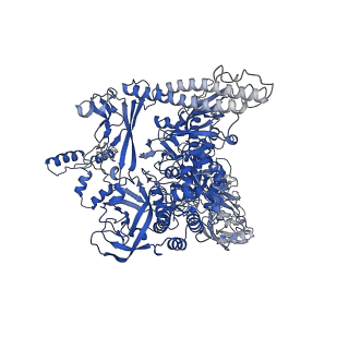 7350_6c6t_I_v1-4
CryoEM structure of E.coli RNA polymerase elongation complex bound with RfaH