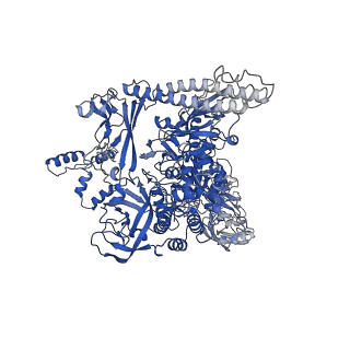 7350_6c6t_I_v1-5
CryoEM structure of E.coli RNA polymerase elongation complex bound with RfaH