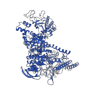 7350_6c6t_J_v1-4
CryoEM structure of E.coli RNA polymerase elongation complex bound with RfaH