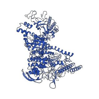 7350_6c6t_J_v1-5
CryoEM structure of E.coli RNA polymerase elongation complex bound with RfaH