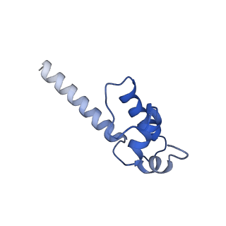 7350_6c6t_K_v1-4
CryoEM structure of E.coli RNA polymerase elongation complex bound with RfaH