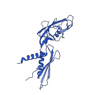7351_6c6u_G_v1-4
CryoEM structure of E.coli RNA polymerase elongation complex bound with NusG