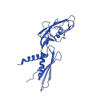 7351_6c6u_G_v1-5
CryoEM structure of E.coli RNA polymerase elongation complex bound with NusG