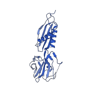 7351_6c6u_H_v1-4
CryoEM structure of E.coli RNA polymerase elongation complex bound with NusG