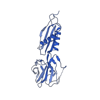 7351_6c6u_H_v1-5
CryoEM structure of E.coli RNA polymerase elongation complex bound with NusG