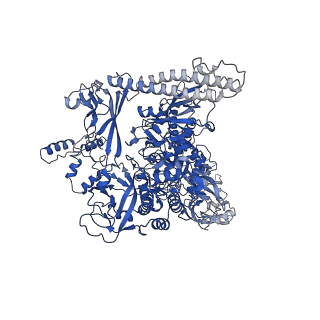 7351_6c6u_I_v1-4
CryoEM structure of E.coli RNA polymerase elongation complex bound with NusG