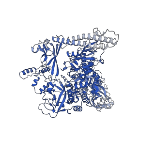 7351_6c6u_I_v1-5
CryoEM structure of E.coli RNA polymerase elongation complex bound with NusG