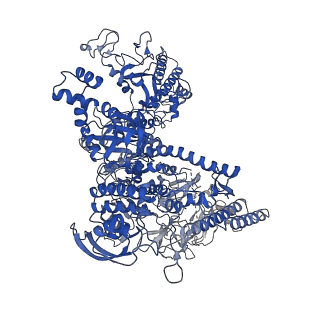 7351_6c6u_J_v1-4
CryoEM structure of E.coli RNA polymerase elongation complex bound with NusG