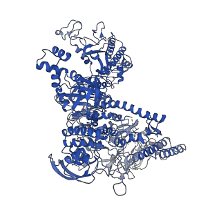 7351_6c6u_J_v1-5
CryoEM structure of E.coli RNA polymerase elongation complex bound with NusG