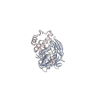 16457_8c7g_A_v1-0
Drosophila melanogaster Rab7 GEF complex Mon1-Ccz1-Bulli
