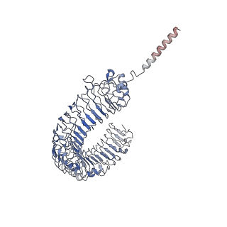 30293_7c76_A_v1-2
Cryo-EM structure of human TLR3 in complex with UNC93B1