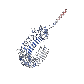 30294_7c77_A_v1-2
Cryo-EM structure of mouse TLR3 in complex with UNC93B1
