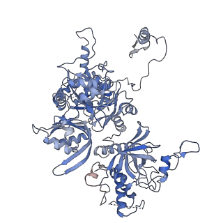30296_7c79_B_v1-1
Cryo-EM structure of yeast Ribonuclease MRP