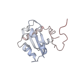 30296_7c79_C_v1-1
Cryo-EM structure of yeast Ribonuclease MRP
