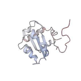 30296_7c79_C_v1-2
Cryo-EM structure of yeast Ribonuclease MRP