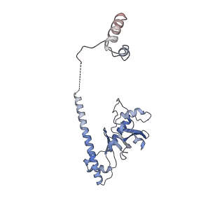 30296_7c79_D_v1-1
Cryo-EM structure of yeast Ribonuclease MRP