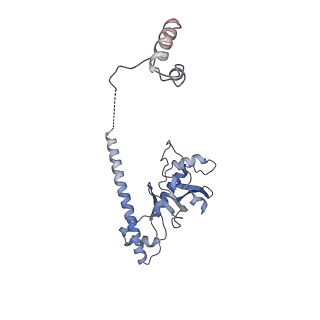 30296_7c79_D_v1-2
Cryo-EM structure of yeast Ribonuclease MRP