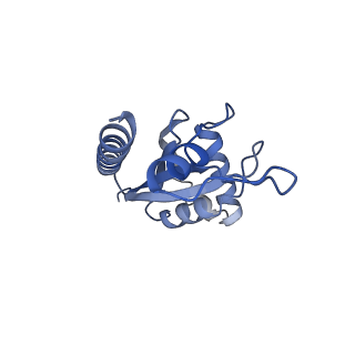 30296_7c79_E_v1-1
Cryo-EM structure of yeast Ribonuclease MRP