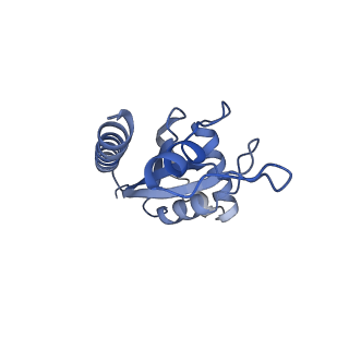 30296_7c79_E_v1-2
Cryo-EM structure of yeast Ribonuclease MRP