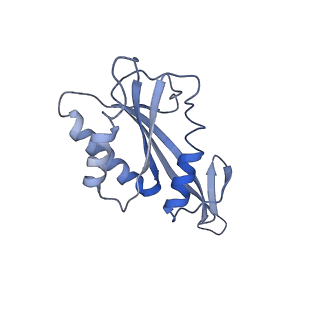 30296_7c79_F_v1-1
Cryo-EM structure of yeast Ribonuclease MRP