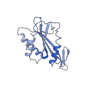 30296_7c79_F_v1-2
Cryo-EM structure of yeast Ribonuclease MRP