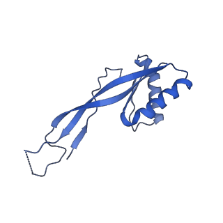 30296_7c79_G_v1-2
Cryo-EM structure of yeast Ribonuclease MRP