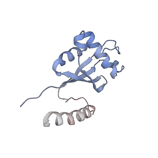 30296_7c79_H_v1-1
Cryo-EM structure of yeast Ribonuclease MRP