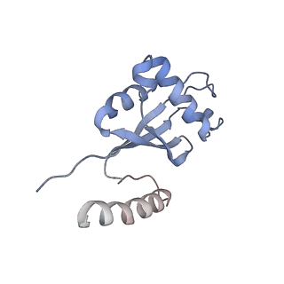 30296_7c79_H_v1-2
Cryo-EM structure of yeast Ribonuclease MRP