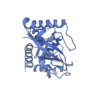 30296_7c79_I_v1-1
Cryo-EM structure of yeast Ribonuclease MRP