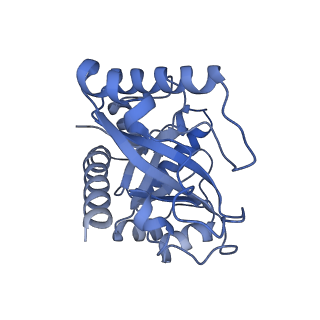 30296_7c79_I_v1-2
Cryo-EM structure of yeast Ribonuclease MRP