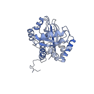 30296_7c79_J_v1-1
Cryo-EM structure of yeast Ribonuclease MRP