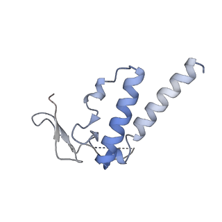 30296_7c79_K_v1-1
Cryo-EM structure of yeast Ribonuclease MRP