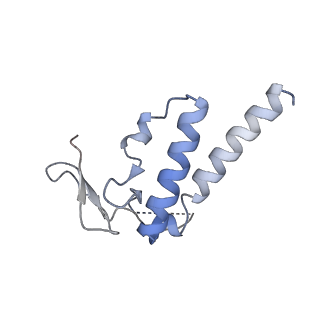 30296_7c79_K_v1-2
Cryo-EM structure of yeast Ribonuclease MRP