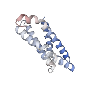 30296_7c79_L_v1-1
Cryo-EM structure of yeast Ribonuclease MRP