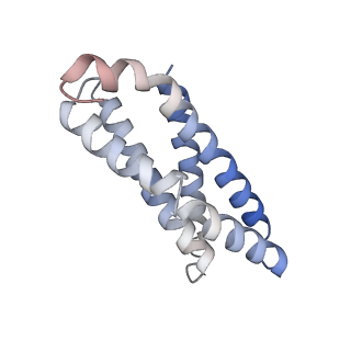 30296_7c79_L_v1-2
Cryo-EM structure of yeast Ribonuclease MRP