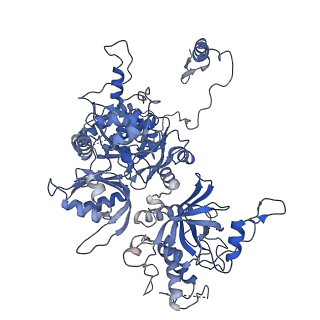 30297_7c7a_B_v1-1
Cryo-EM structure of yeast Ribonuclease MRP with substrate ITS1