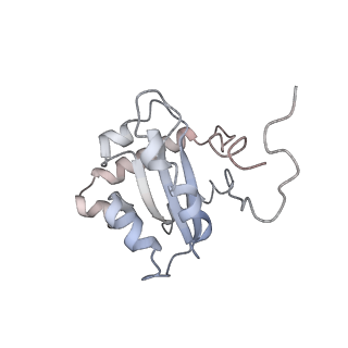 30297_7c7a_C_v1-1
Cryo-EM structure of yeast Ribonuclease MRP with substrate ITS1