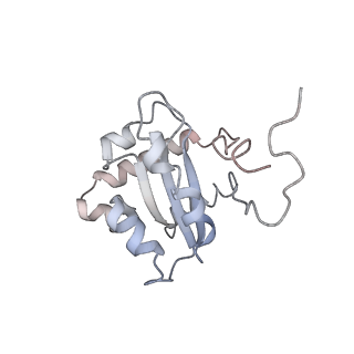 30297_7c7a_C_v1-2
Cryo-EM structure of yeast Ribonuclease MRP with substrate ITS1