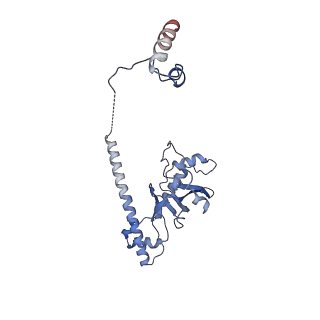 30297_7c7a_D_v1-1
Cryo-EM structure of yeast Ribonuclease MRP with substrate ITS1