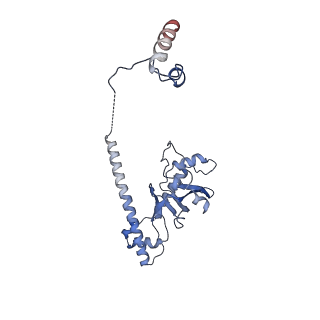 30297_7c7a_D_v1-2
Cryo-EM structure of yeast Ribonuclease MRP with substrate ITS1