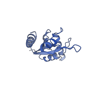 30297_7c7a_E_v1-1
Cryo-EM structure of yeast Ribonuclease MRP with substrate ITS1