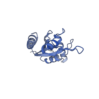 30297_7c7a_E_v1-2
Cryo-EM structure of yeast Ribonuclease MRP with substrate ITS1