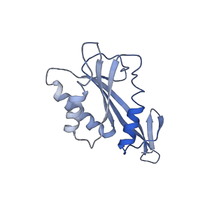 30297_7c7a_F_v1-1
Cryo-EM structure of yeast Ribonuclease MRP with substrate ITS1
