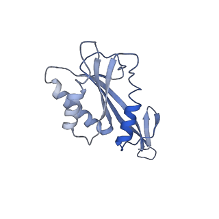 30297_7c7a_F_v1-2
Cryo-EM structure of yeast Ribonuclease MRP with substrate ITS1