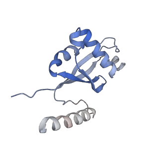 30297_7c7a_H_v1-1
Cryo-EM structure of yeast Ribonuclease MRP with substrate ITS1
